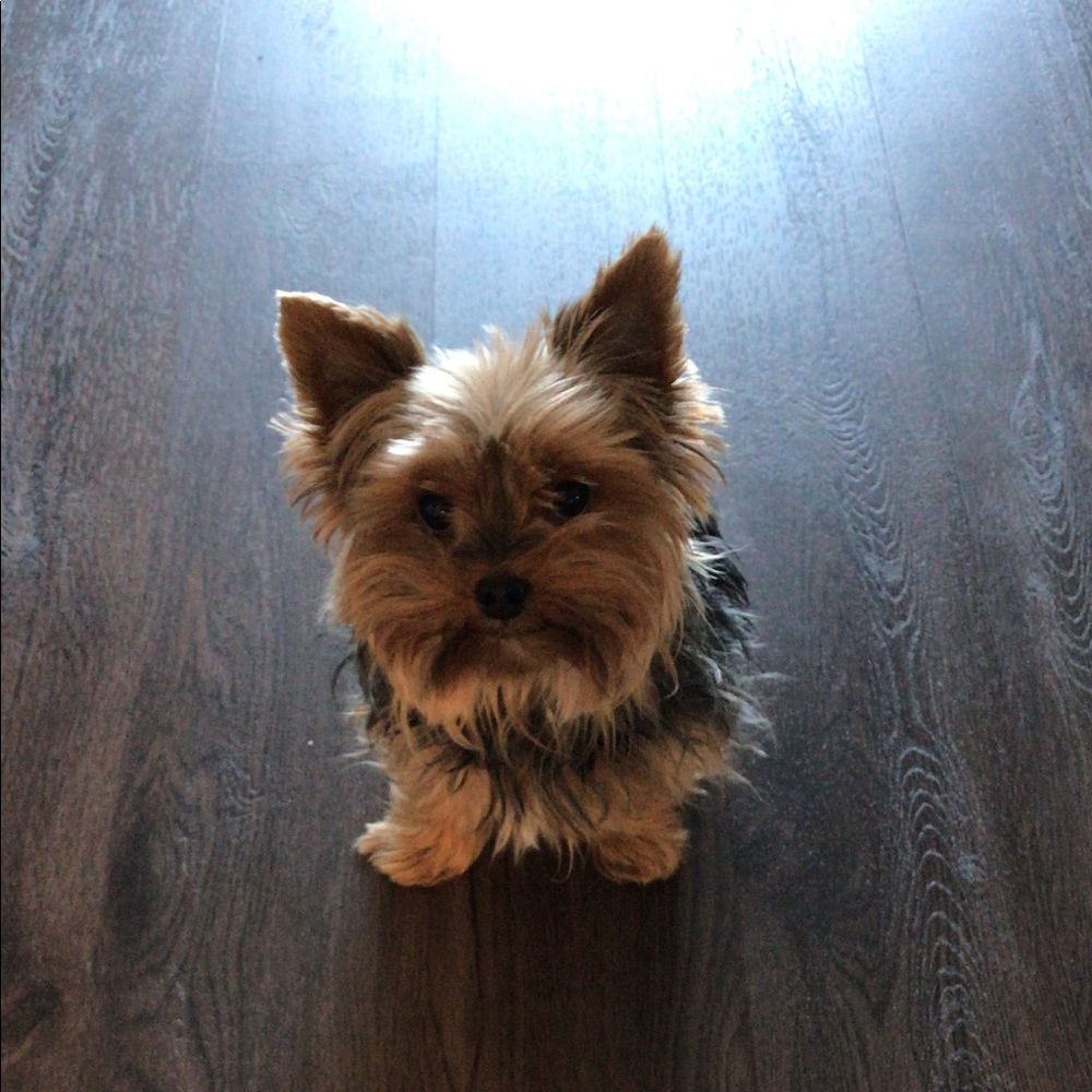 Meet your Posher, CeeBelle